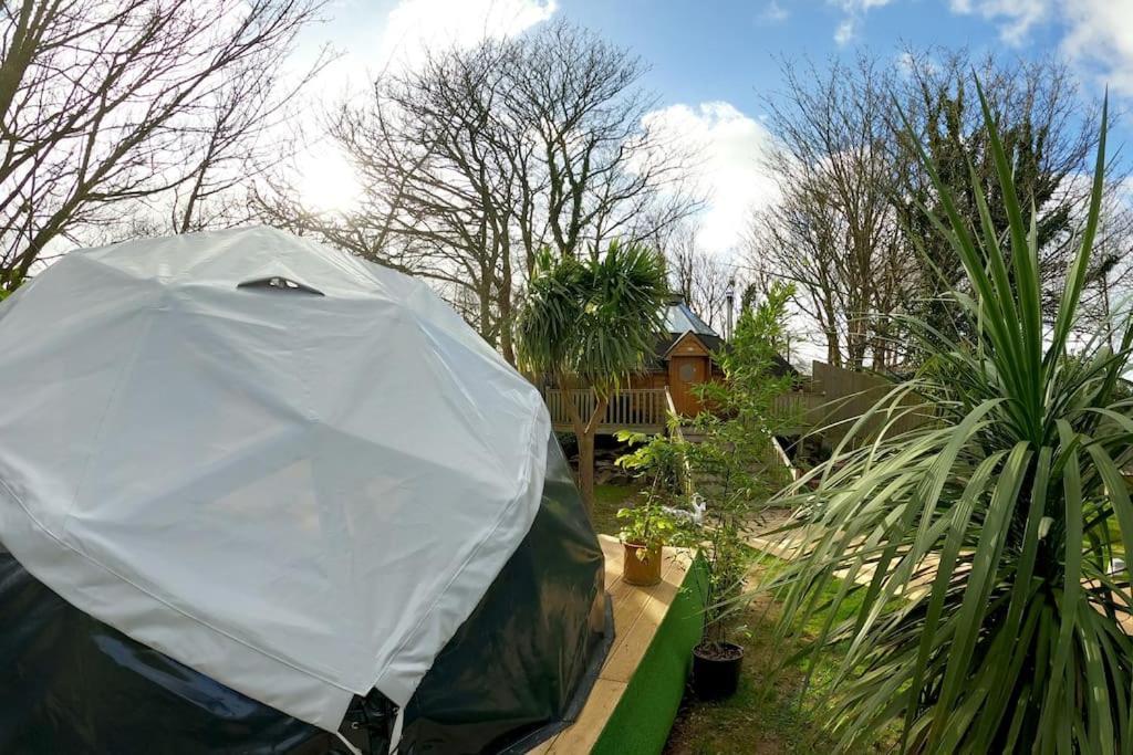 Romantic Treehouse With Hot Tub & Bbq Holiday home